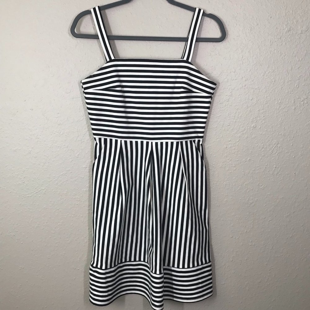 STITCH FIX Brixon Ivy Black & White Ponte Dress